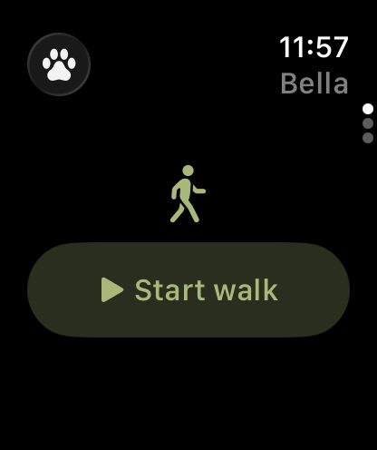 SarPet en el Apple Watch con el último paseo y un botón para empezar
